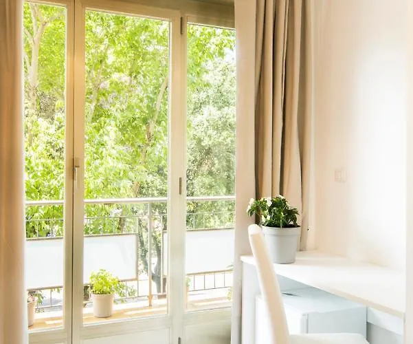 Mr. Brown - Marconi Rome